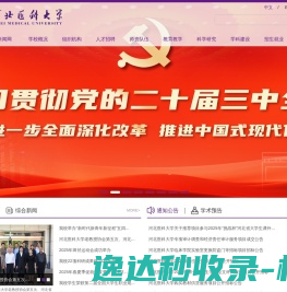 网站截图