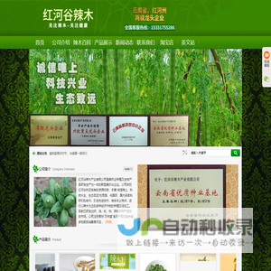 红河谷辣木产业有限公司官网