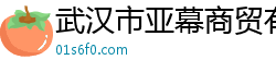 武汉市亚幕商贸有限公司