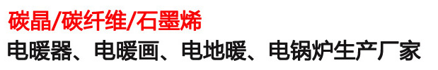 任丘电锅炉