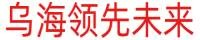 乌海市领先未来科技有限公司