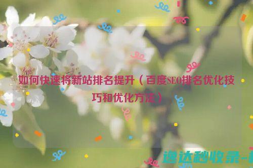 如何快速将新站排名提升（百度SEO排名优化技巧和优化方法）_SEO优化