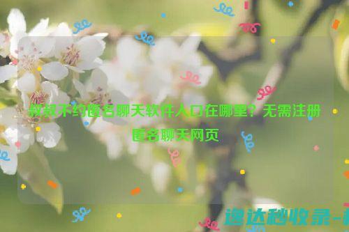 叔叔不约匿名聊天软件入口在哪里？无需注册匿名聊天网页_站长新闻