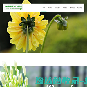 常州绿植租赁