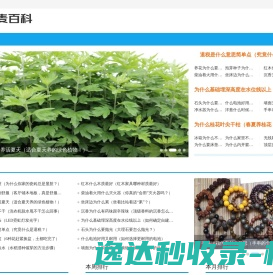 东风卓联汽车服务有限公司