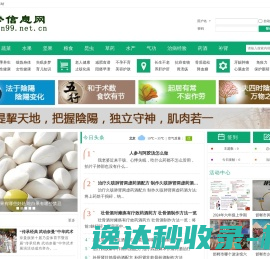 圆梦信息网